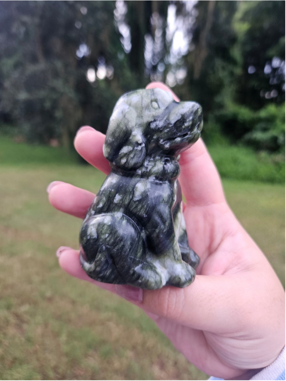 Green jade dog golden retriever 3 in